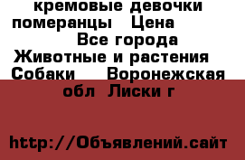 кремовые девочки померанцы › Цена ­ 30 000 - Все города Животные и растения » Собаки   . Воронежская обл.,Лиски г.
